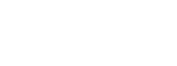 Fenix Logo